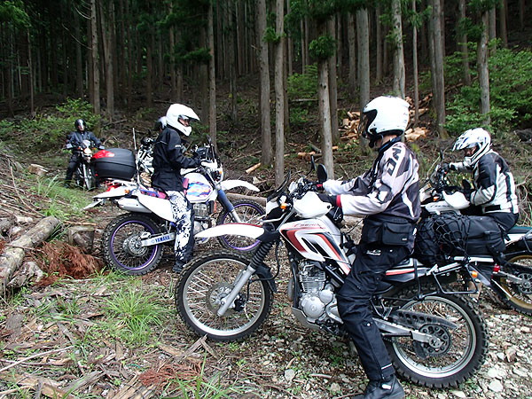 これ以上先には道が無いと言う事で引き返し